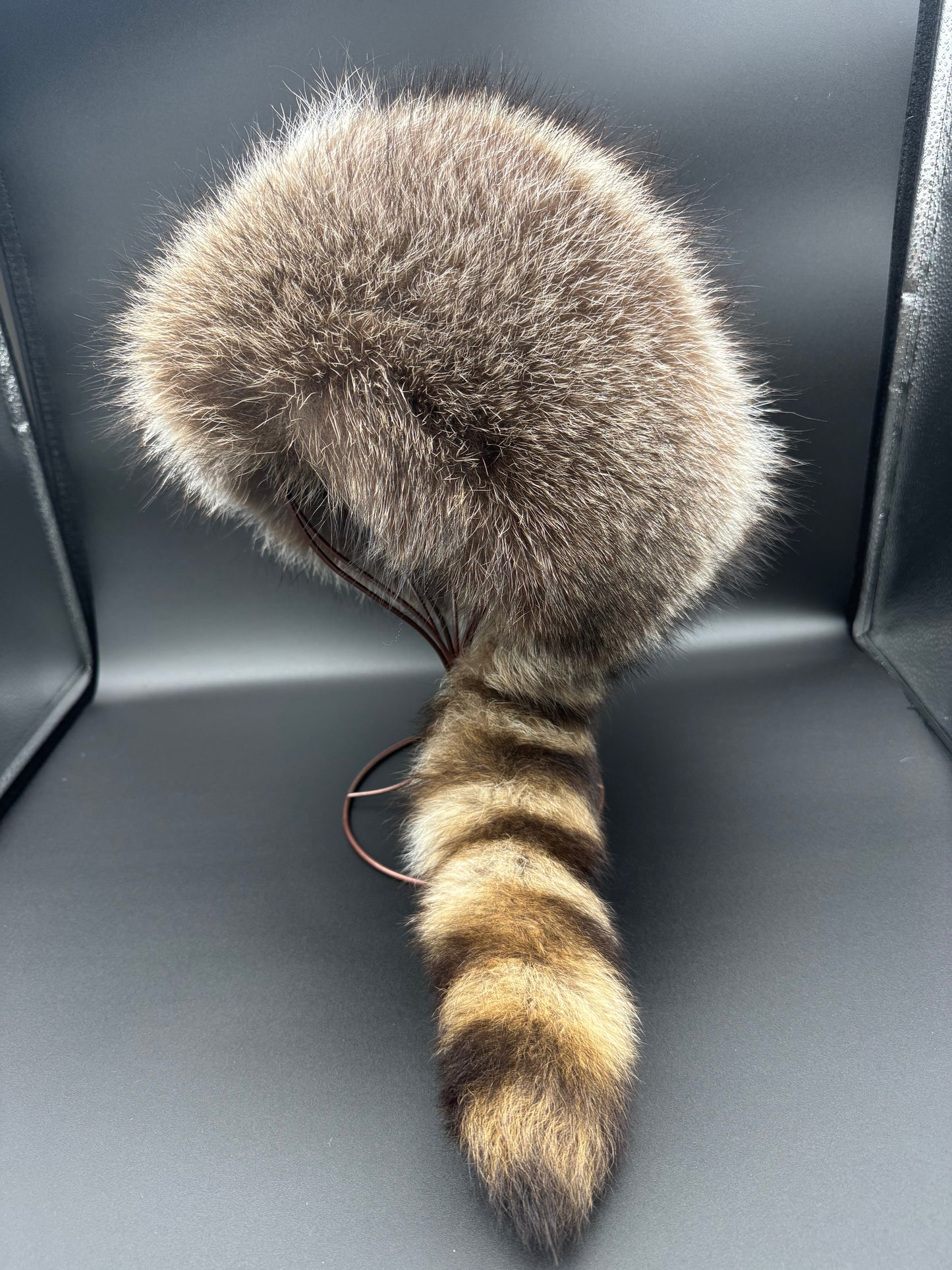 Coon Skin Cap