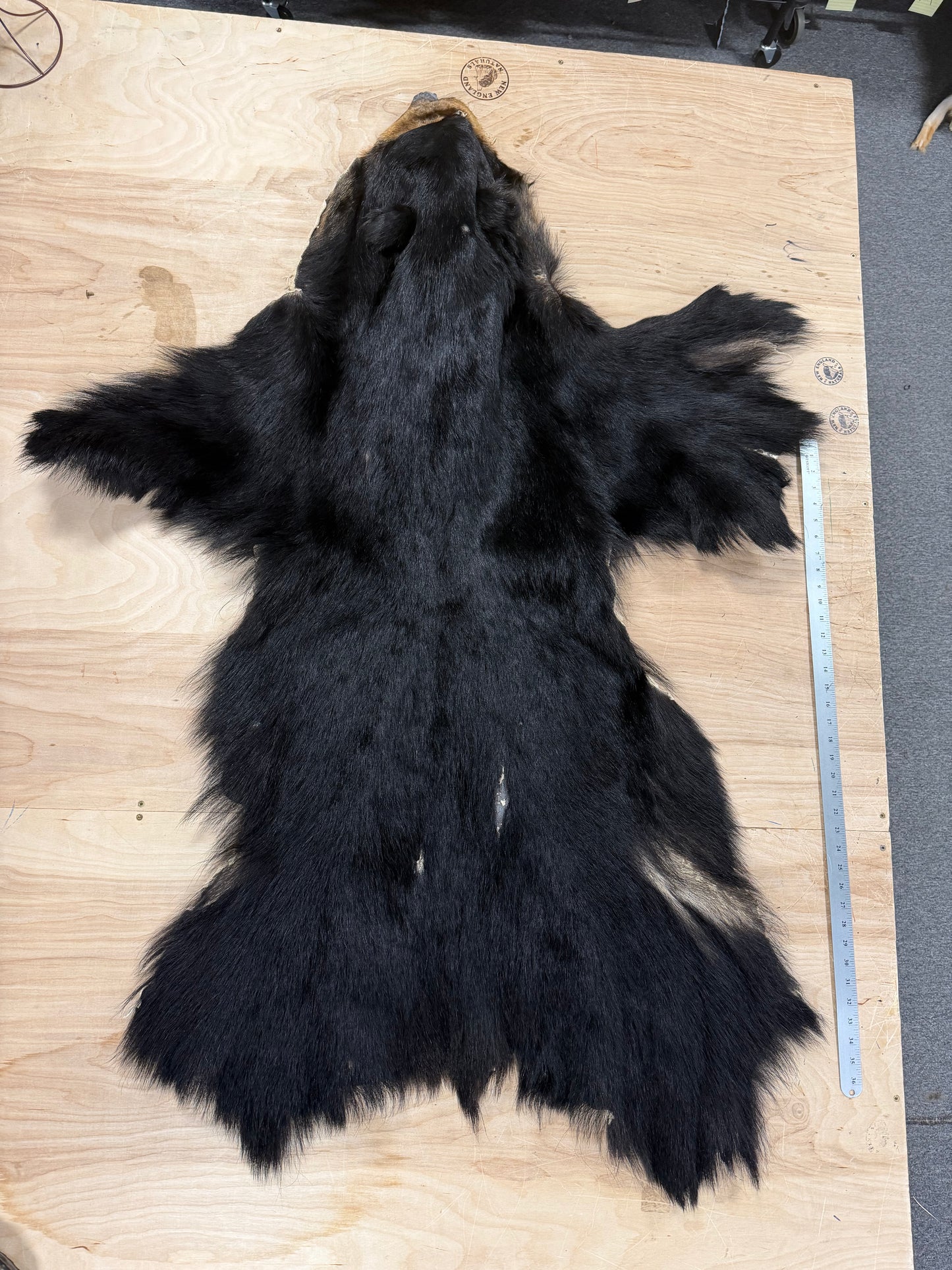 Black Bear Pelt - Grade 2