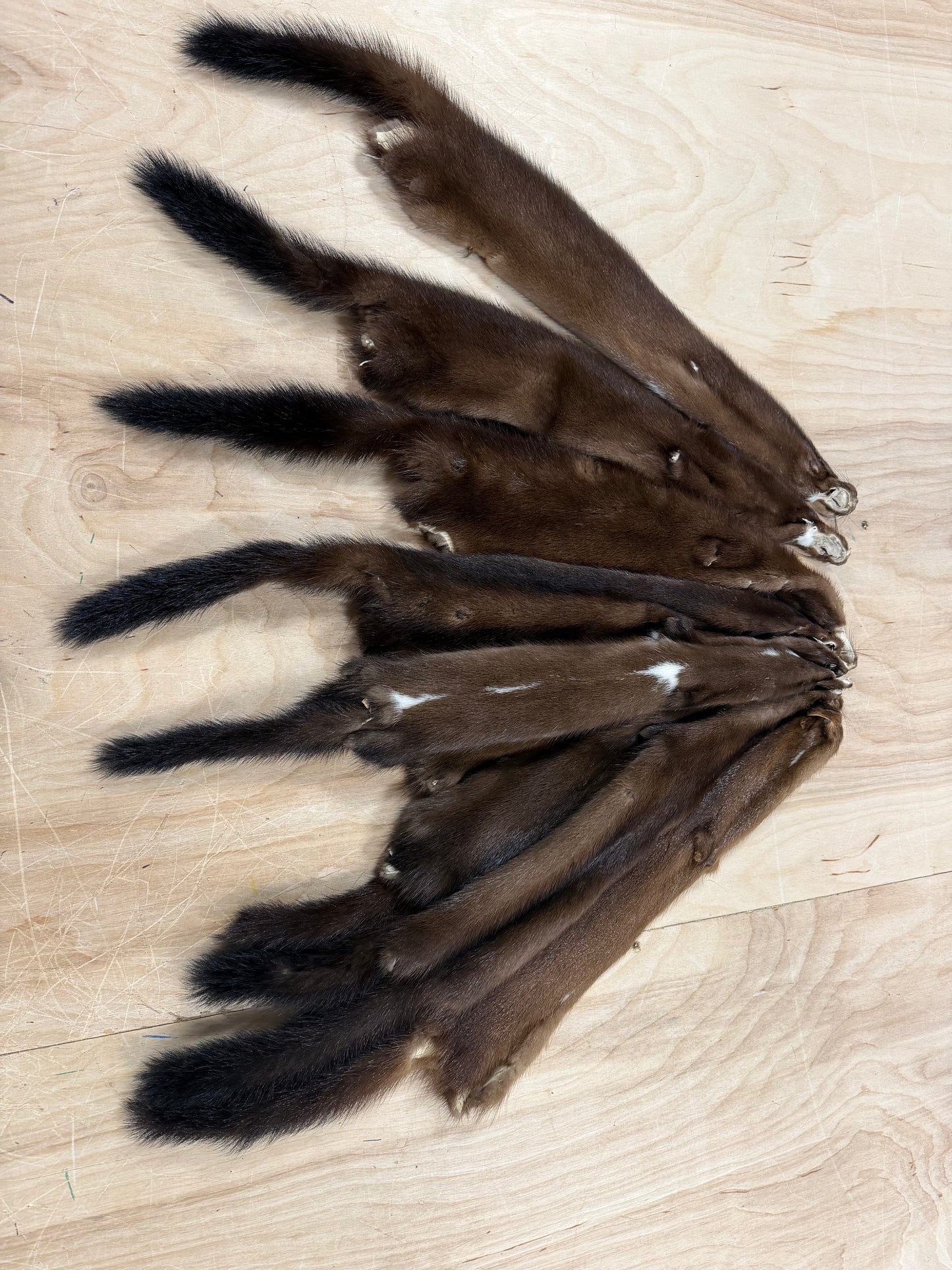 Premium American Mink Pelt