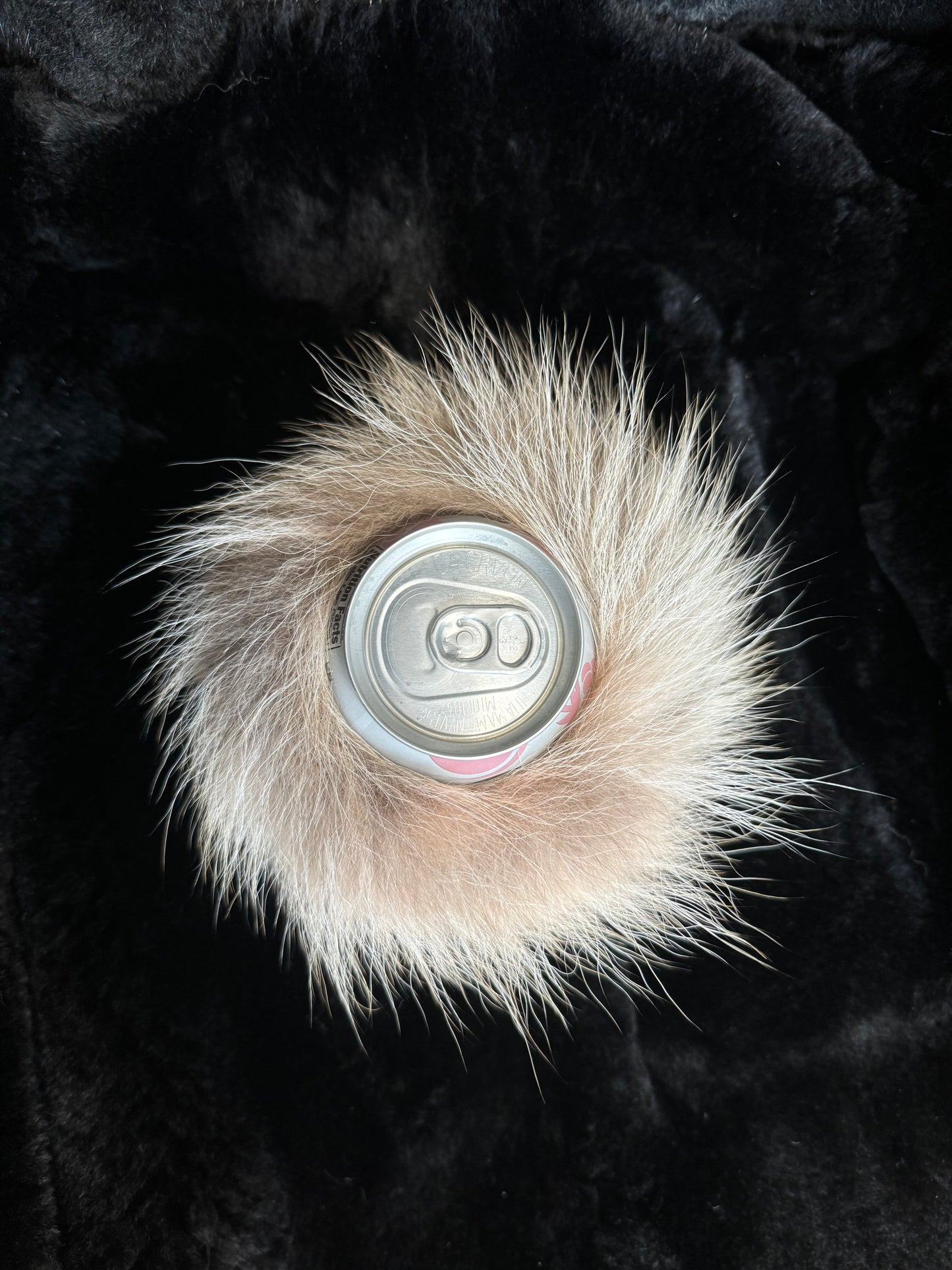 Coyote Beverage Holder