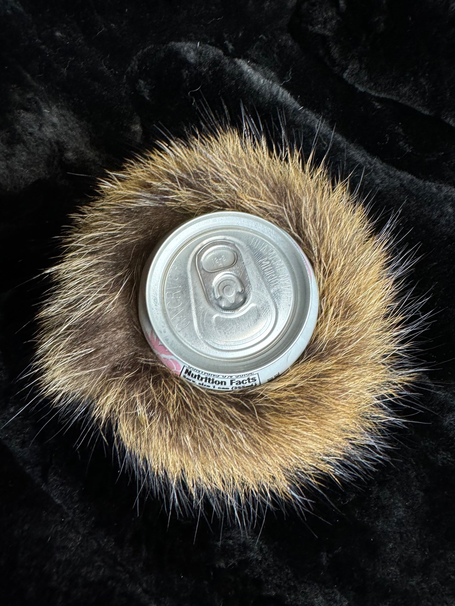 Raccoon Beverage Holder