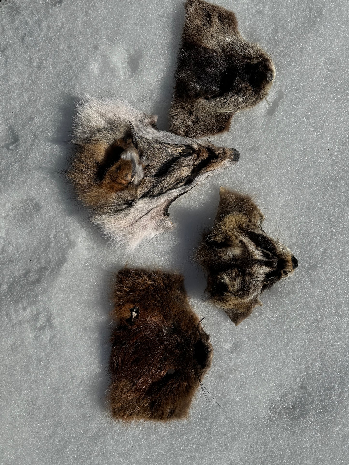 Assorted Real Fur Faces