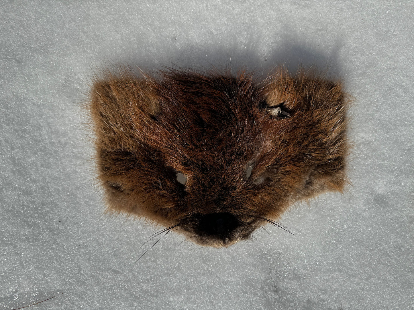 Assorted Real Fur Faces