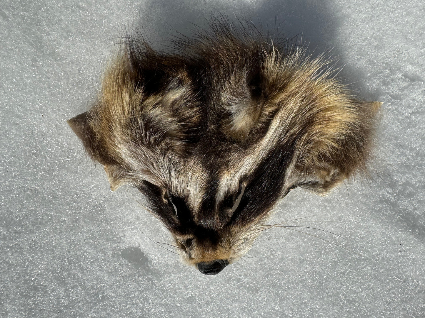 Assorted Real Fur Faces