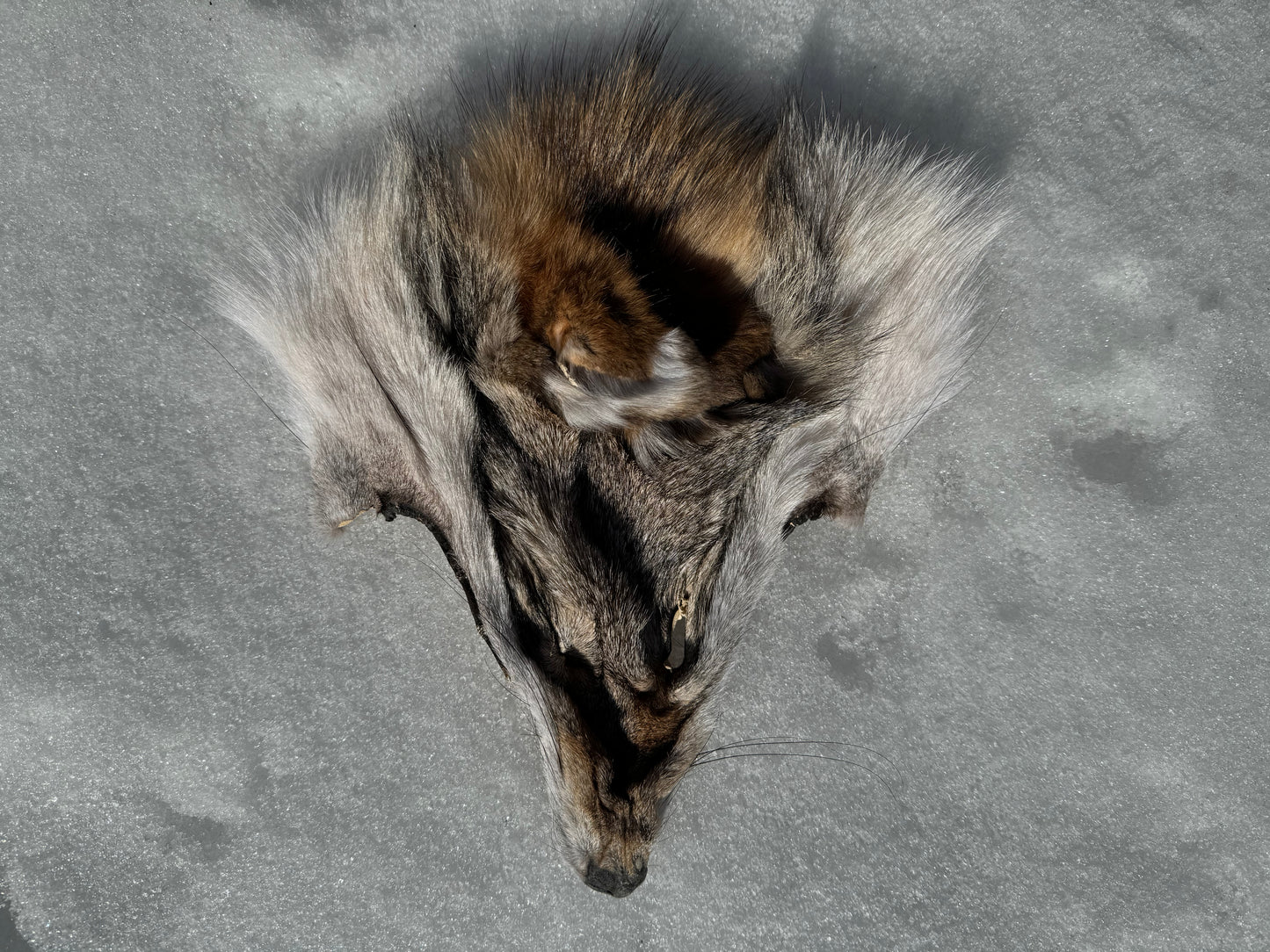 Assorted Real Fur Faces