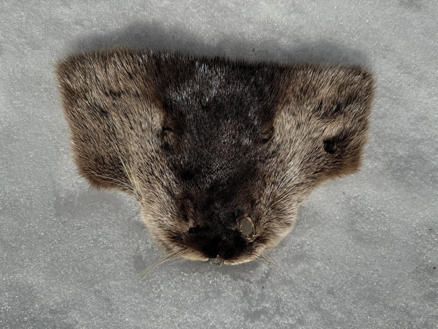 Assorted Real Fur Faces