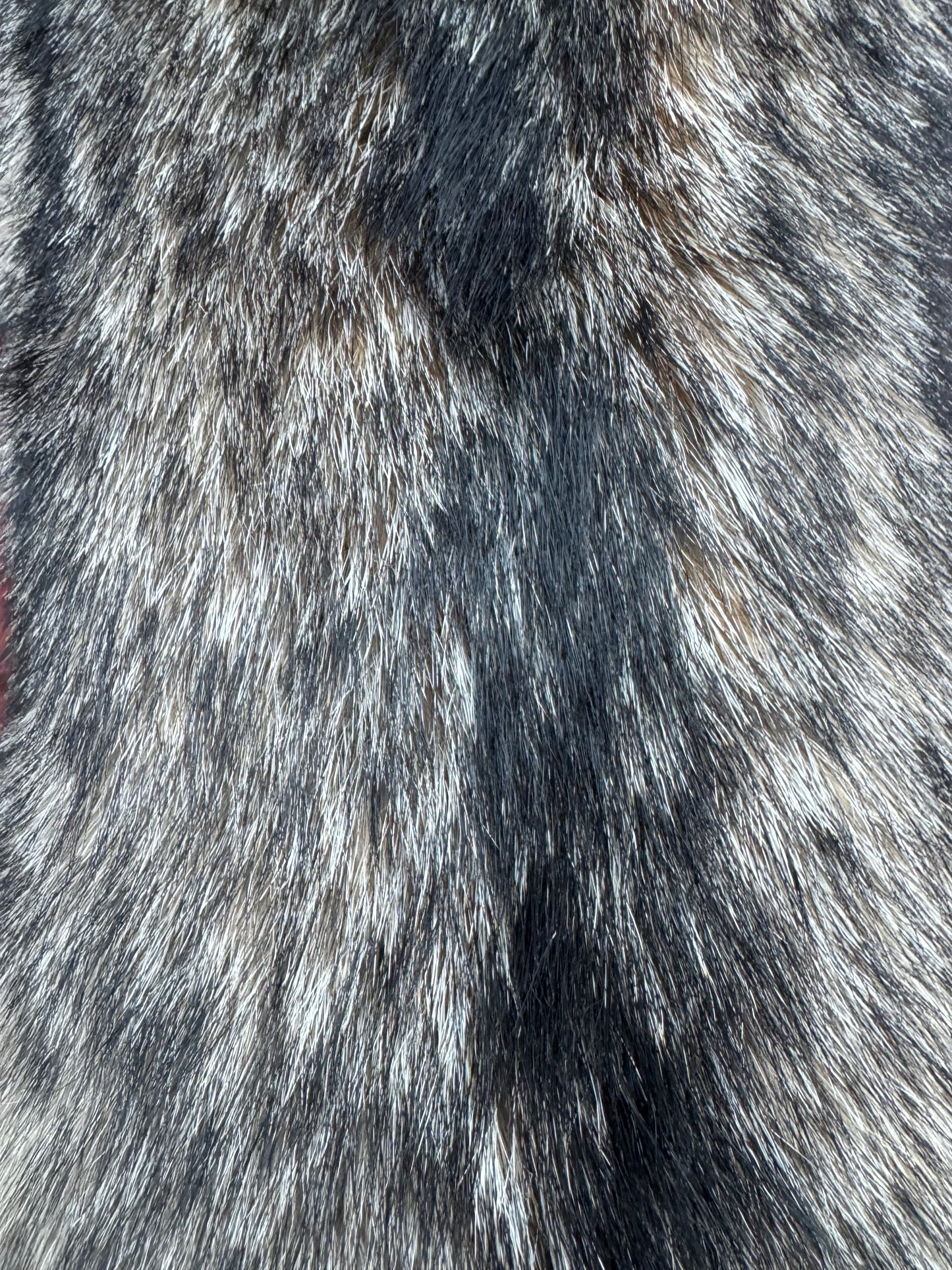 Premium Eastern Coyote Pelt