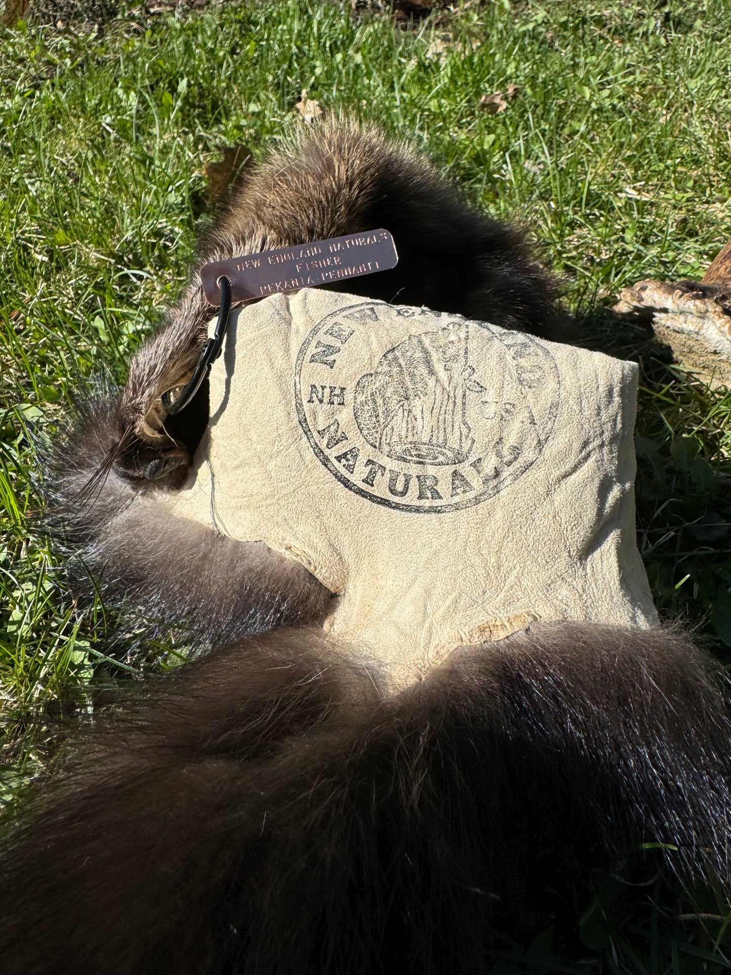 Premium Soft-Tanned Fisher Pelt