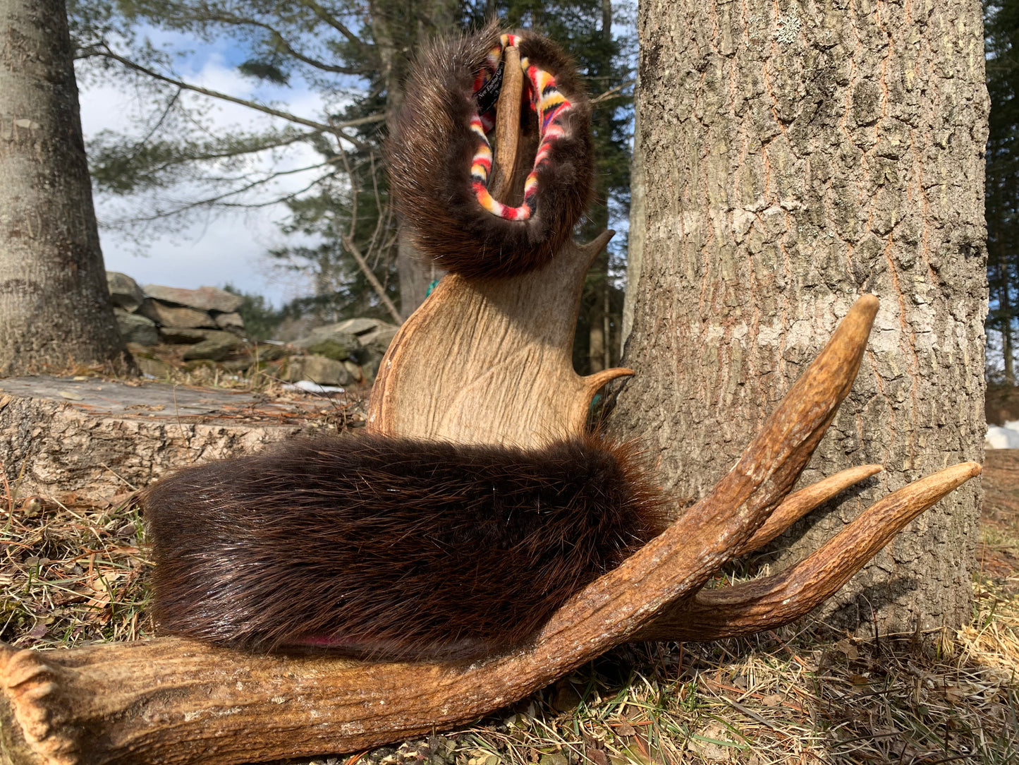 Beaver fur headband