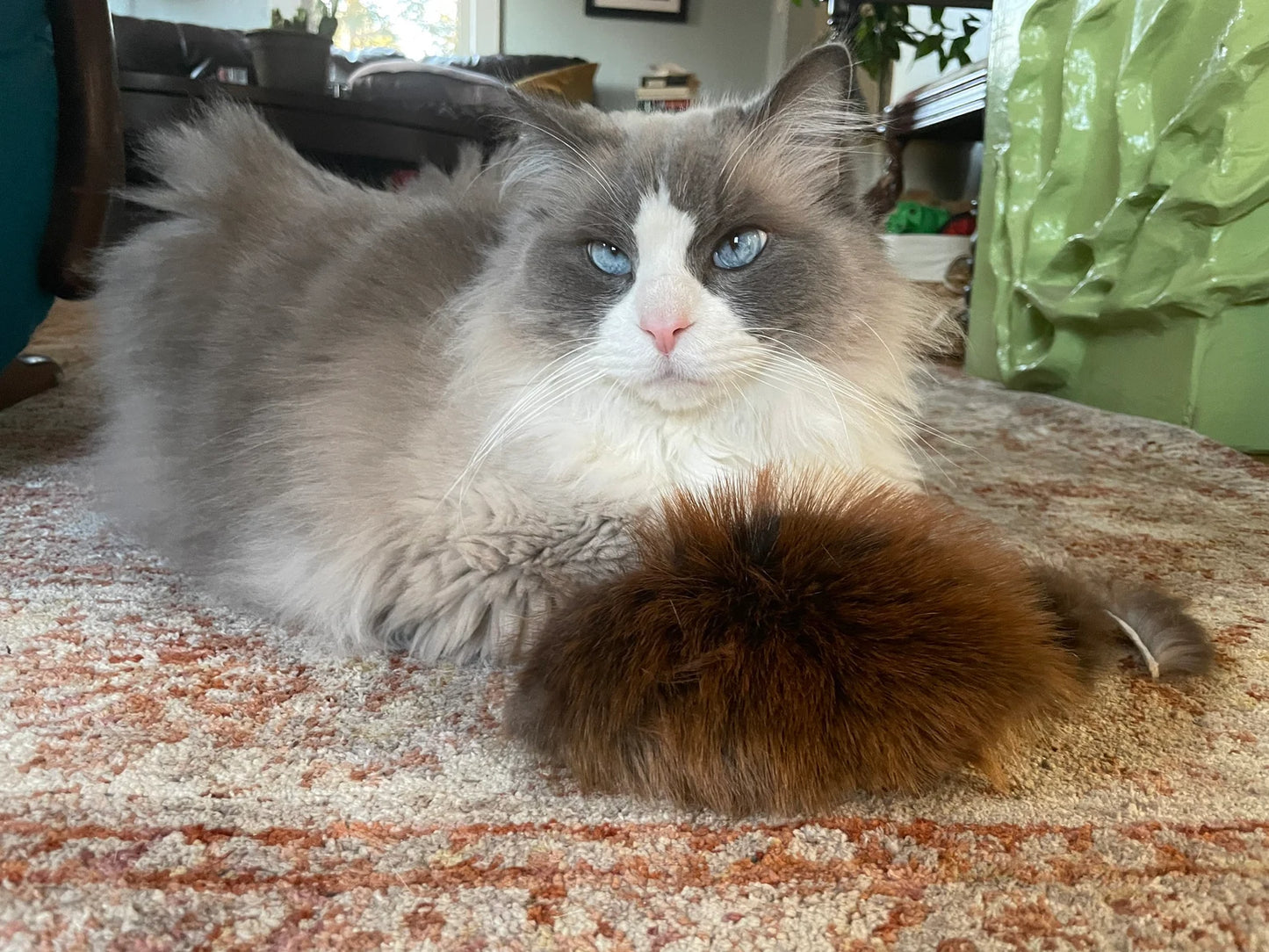 Rat Shaped Extra-Large Beaver Fur Cat Toy (mouse/rat)