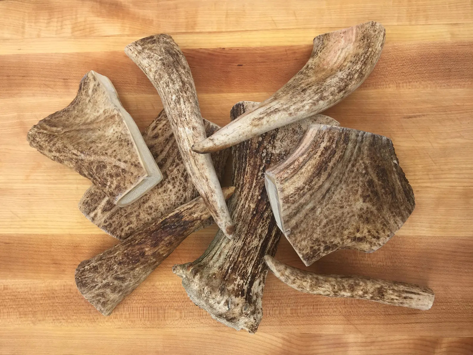 Moose antler dog chews New England Naturals