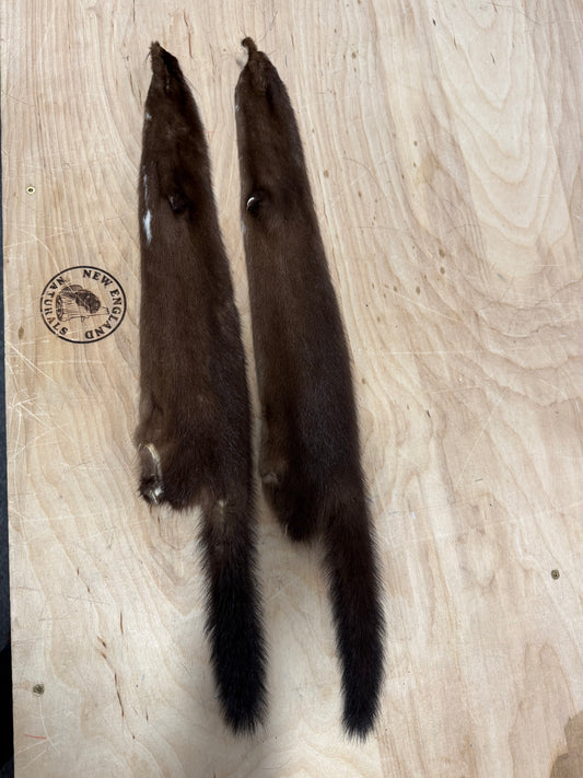 Premium American Mink Pelt