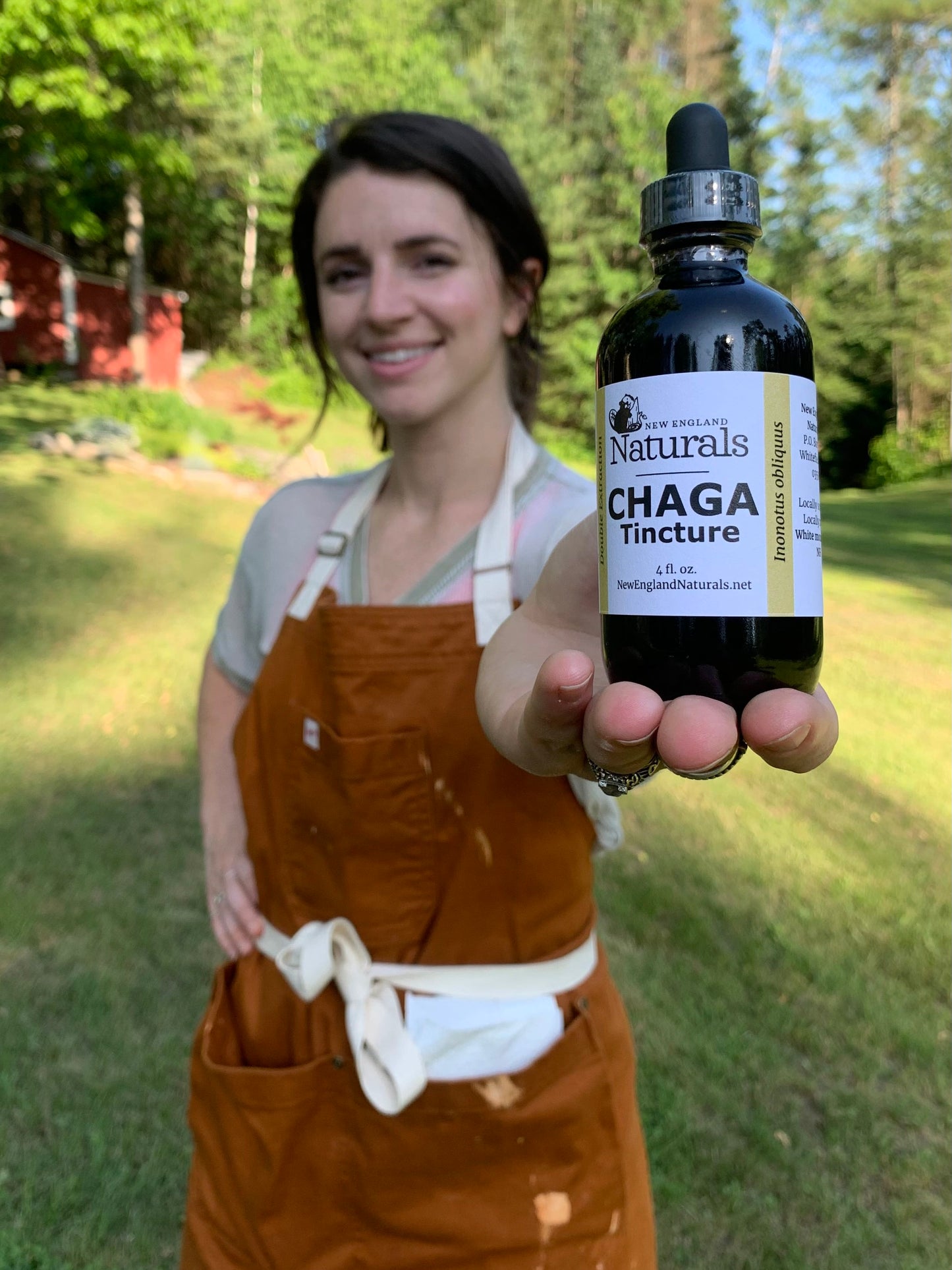 Chaga Tincture- Double extraction