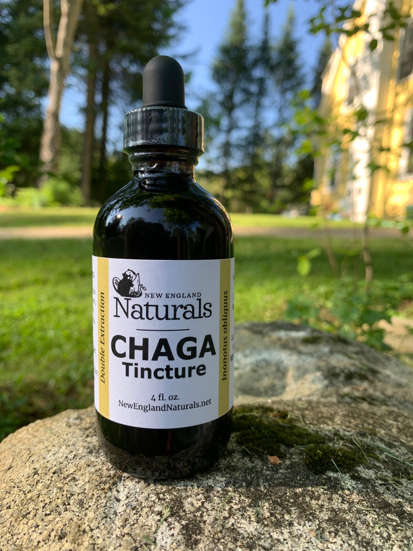 Chaga Tincture- Double extraction