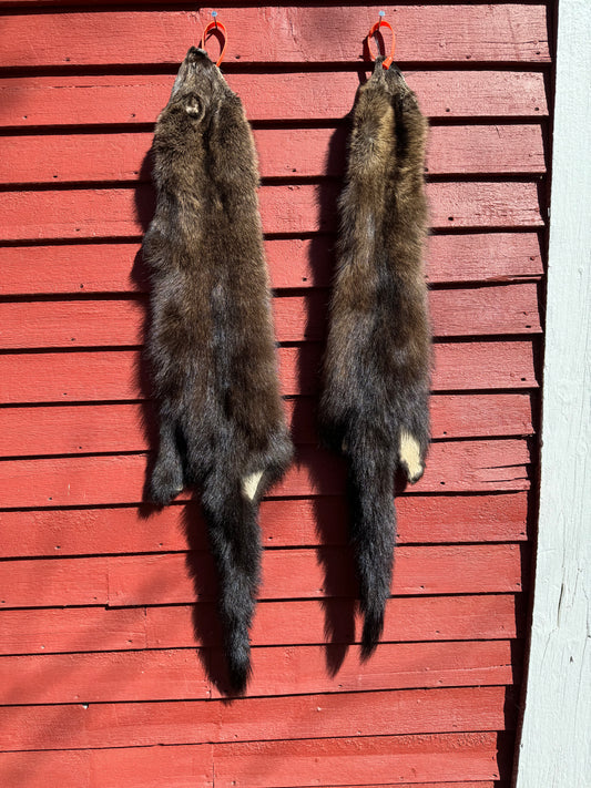 Premium Soft-Tanned Fisher Pelt