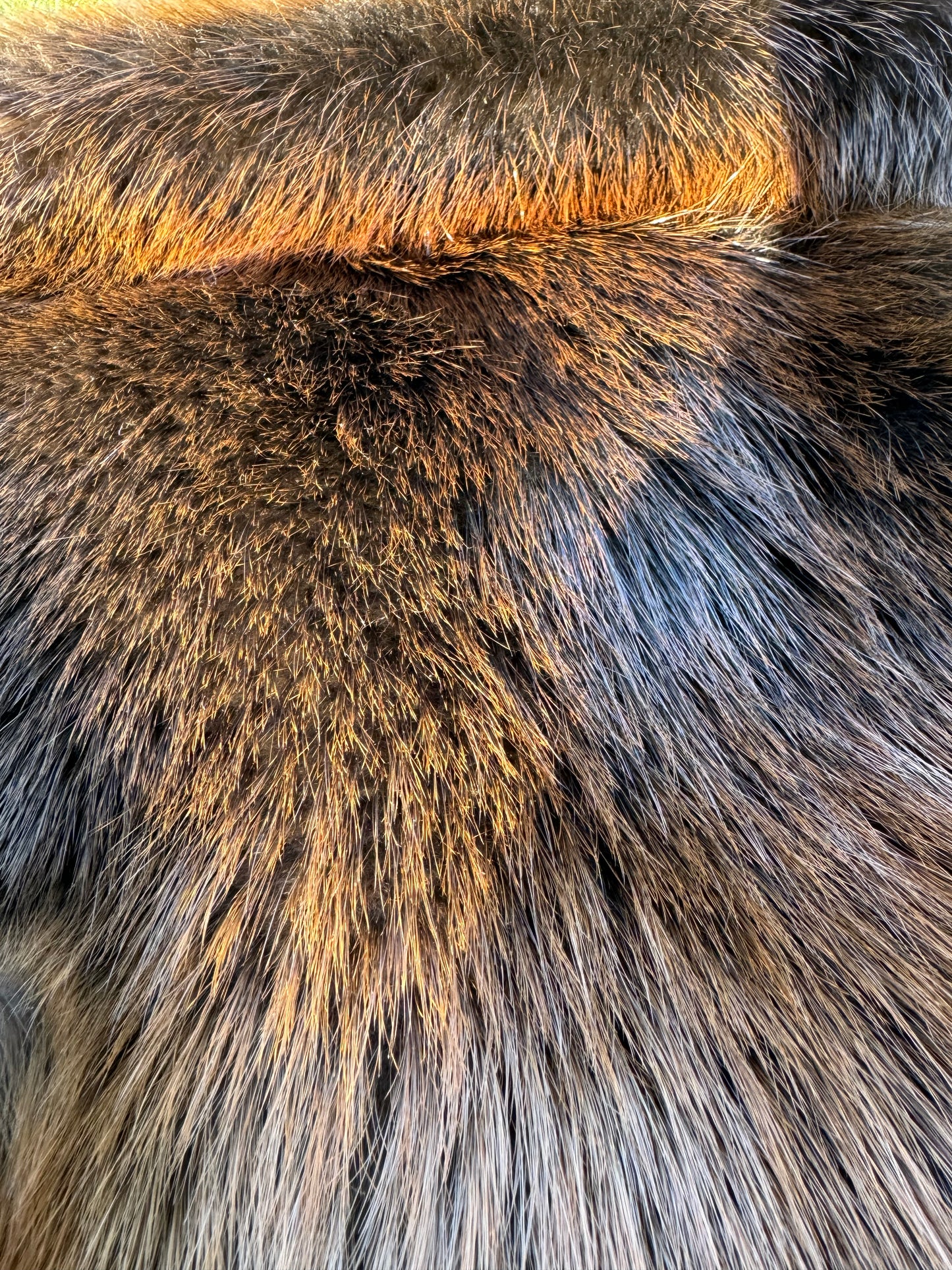 Premium Soft-Tanned Beaver Pelt