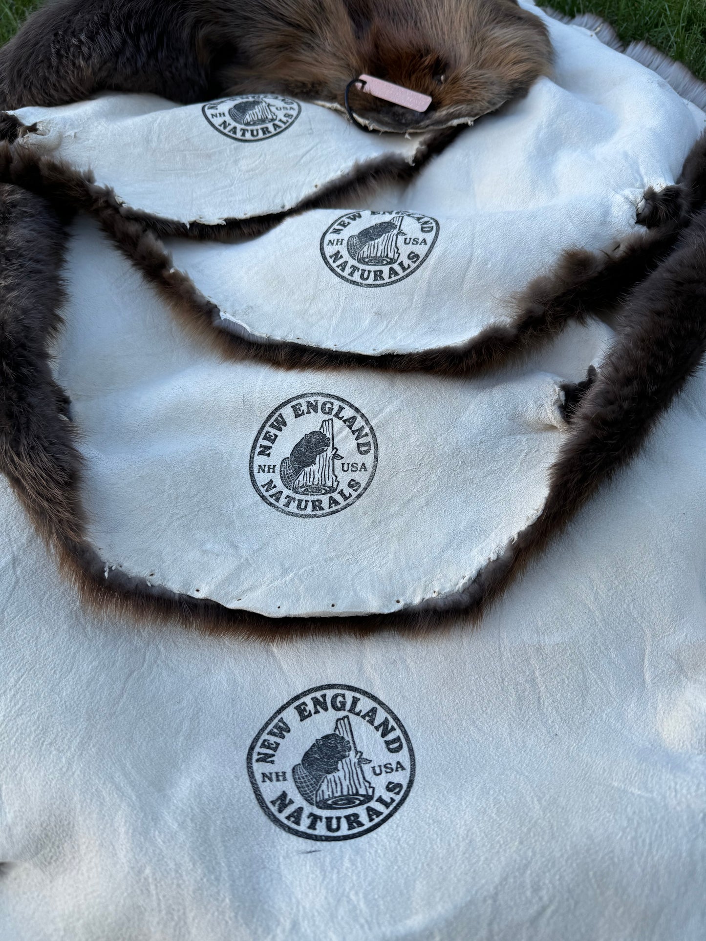 Premium Soft-Tanned Beaver Pelt