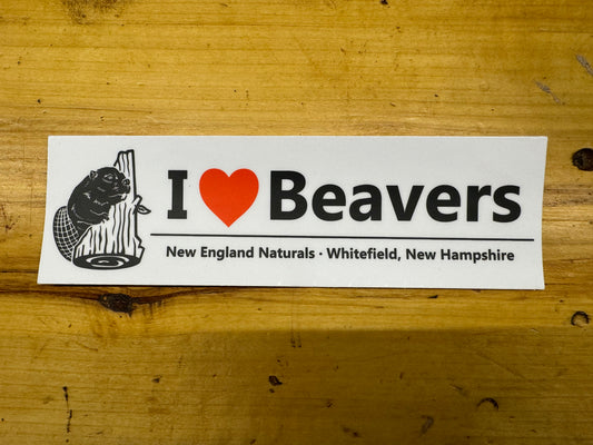 Beaver Sticker "I <3 Beavers"