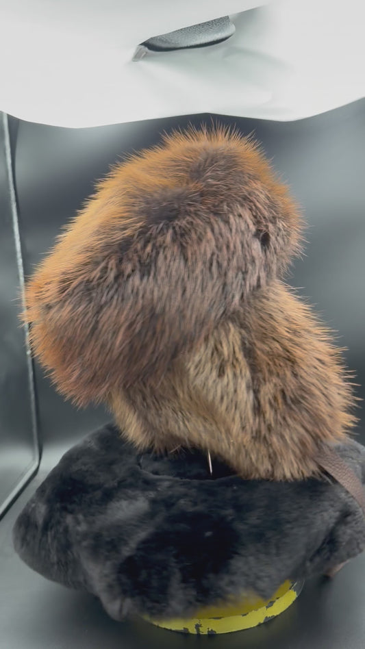 Beaver Fur Trapper Hat