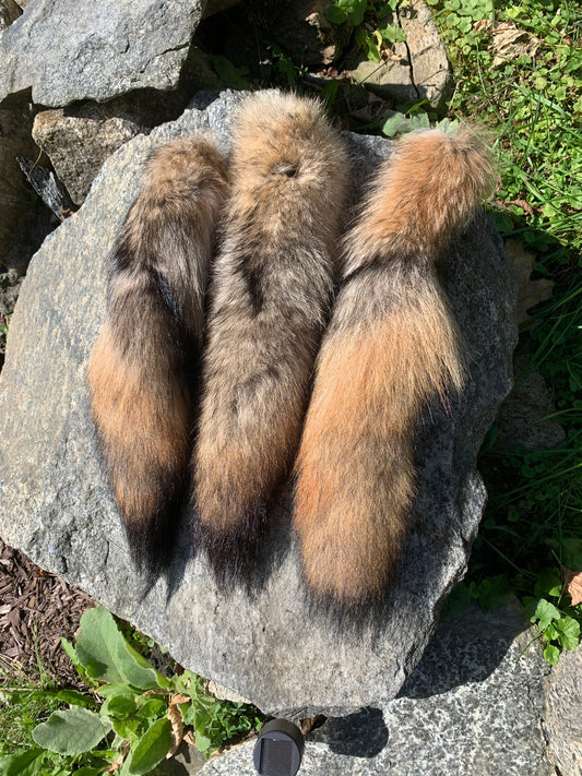 Premium Coyote Tail
