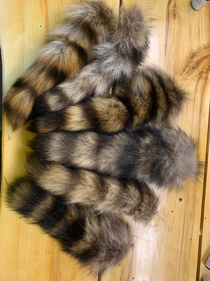 Raccoon tails – New England Naturals