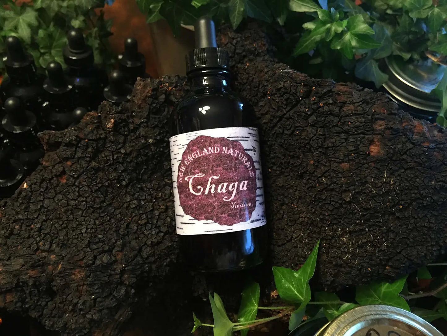 Chaga Tincture- Double extraction