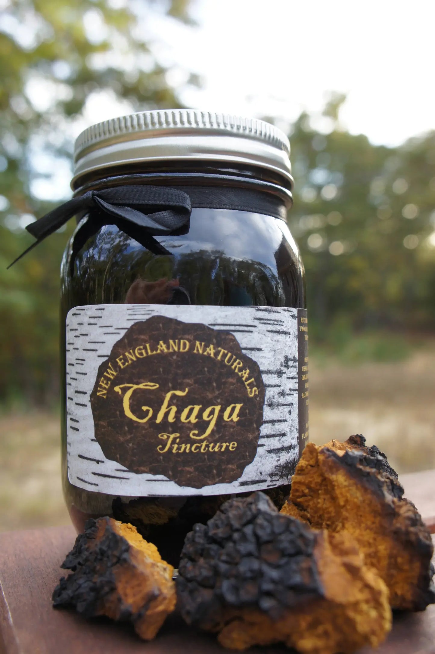 Chaga Tincture- Double extraction